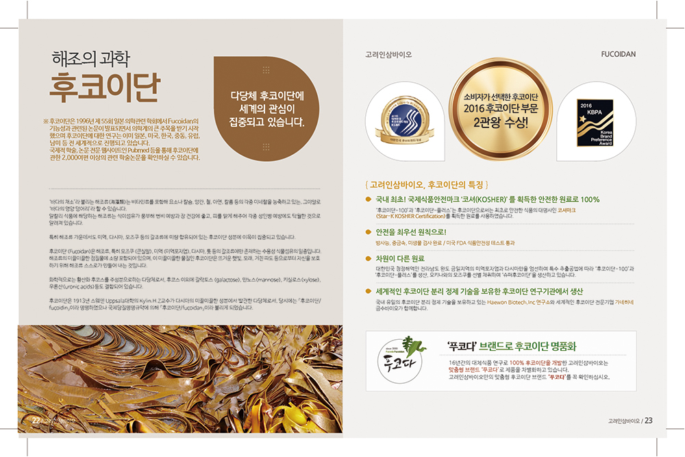 Expo Newletter Design_14