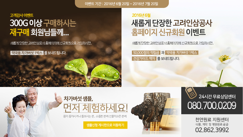 Company Web site 2